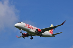 FDA 293