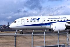 ANA 732