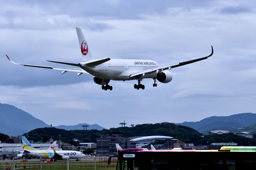 JAL 943