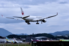 JAL 943