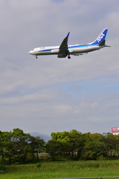 ANA 129