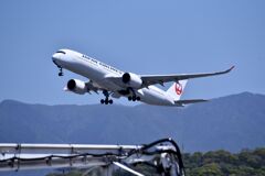 JAL 895