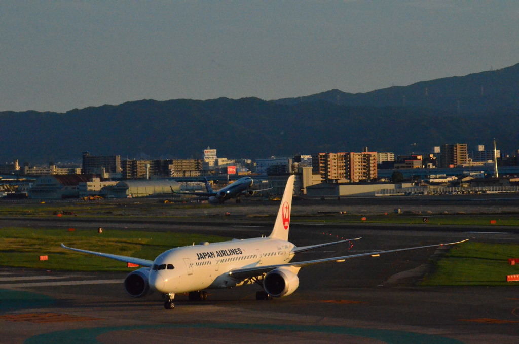 JAL 46
