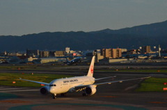 JAL 46