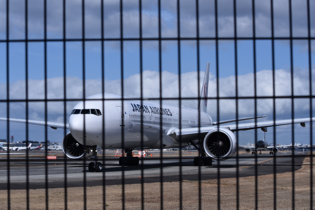 JAL 1166