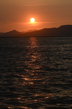 忘れな草　124「夕日」