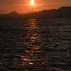 忘れな草　124「夕日」