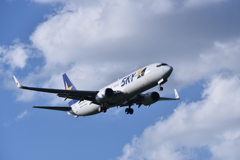 SKY 215