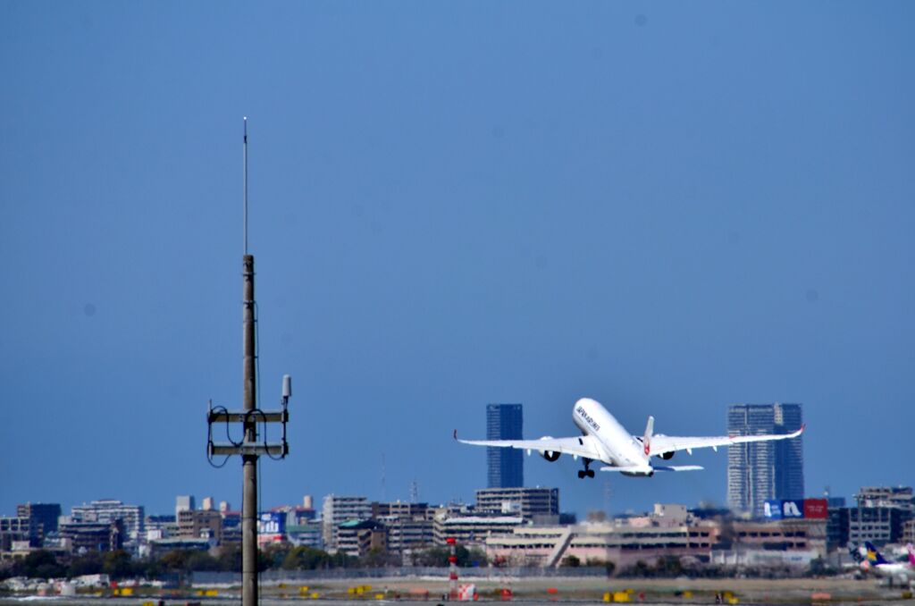 JAL 602