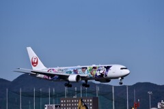 JAL 896