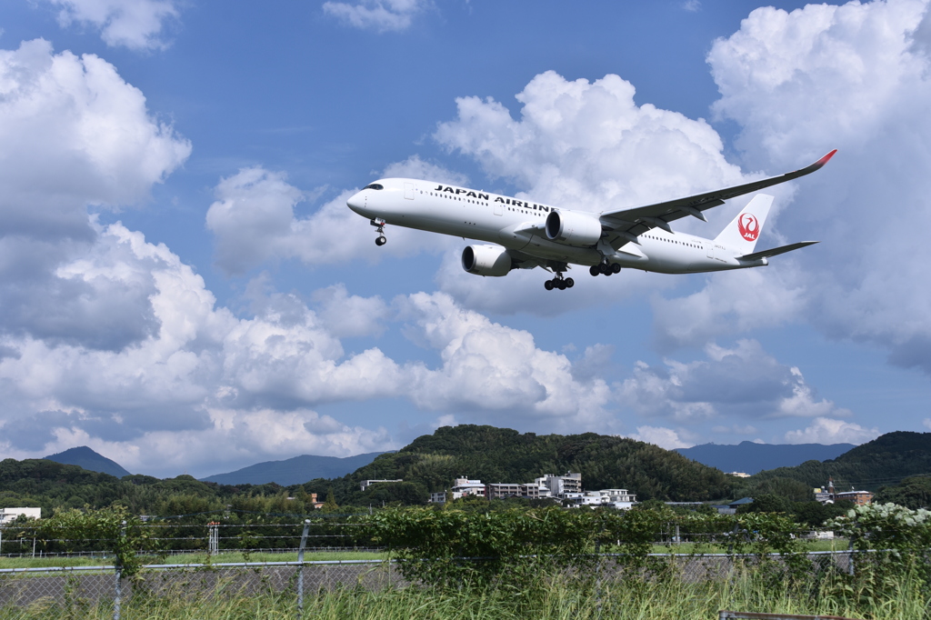 JAL 753