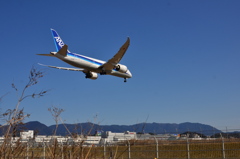 ANA 482
