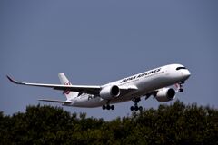 JAL 1281