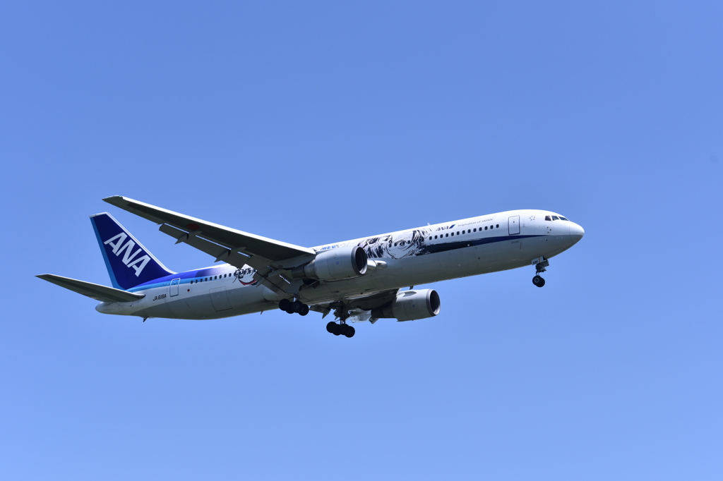 ANA 510