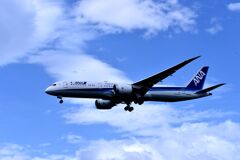 ANA 855