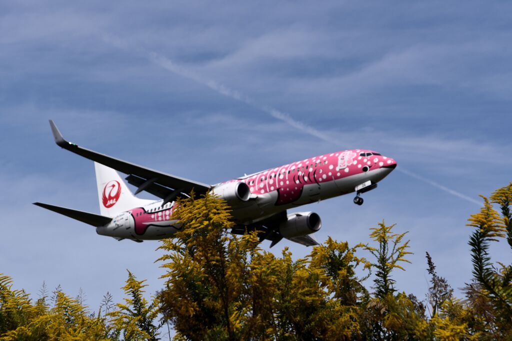 JAL 1295