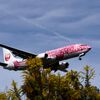 JAL 1295