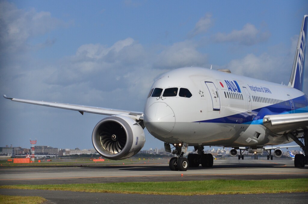 ANA 265