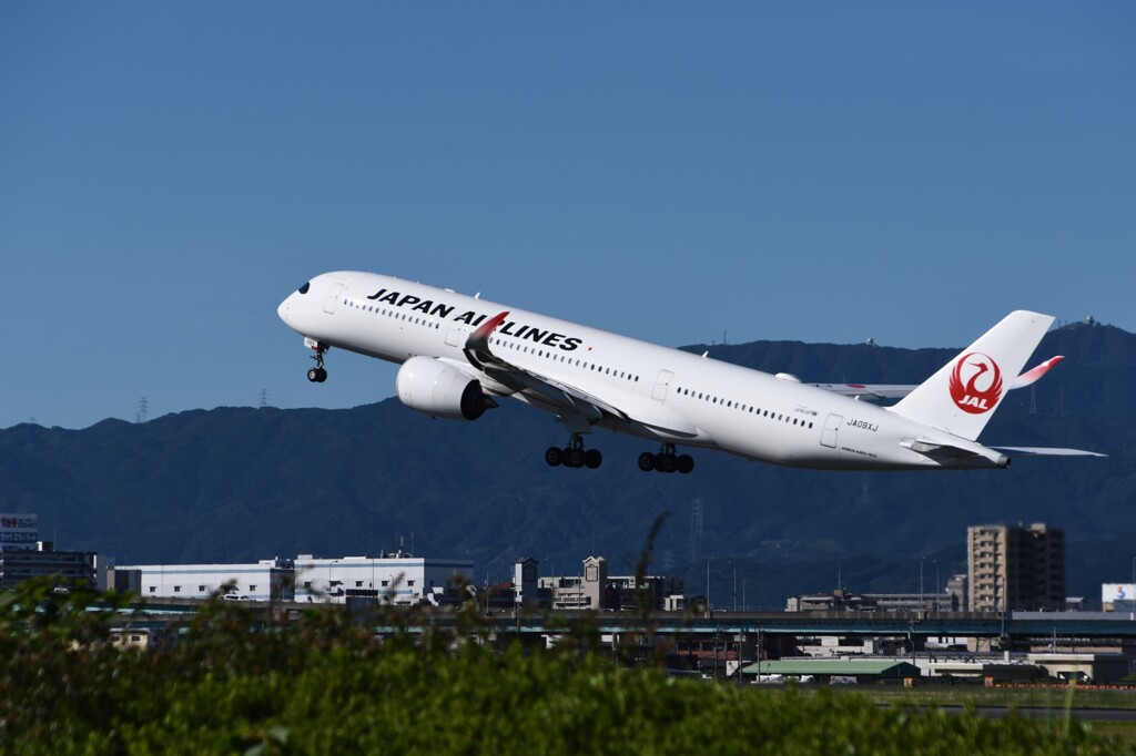 JAL 1261