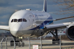 ANA 484