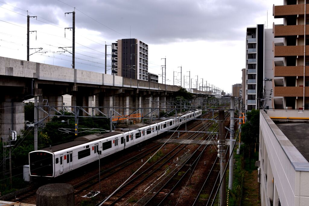 らんだむ。らんだむ。ラン！ラン！ラン！その九