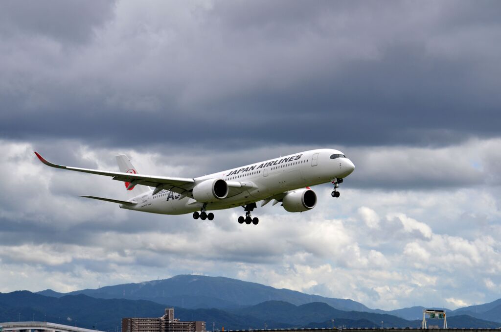 JAL 567