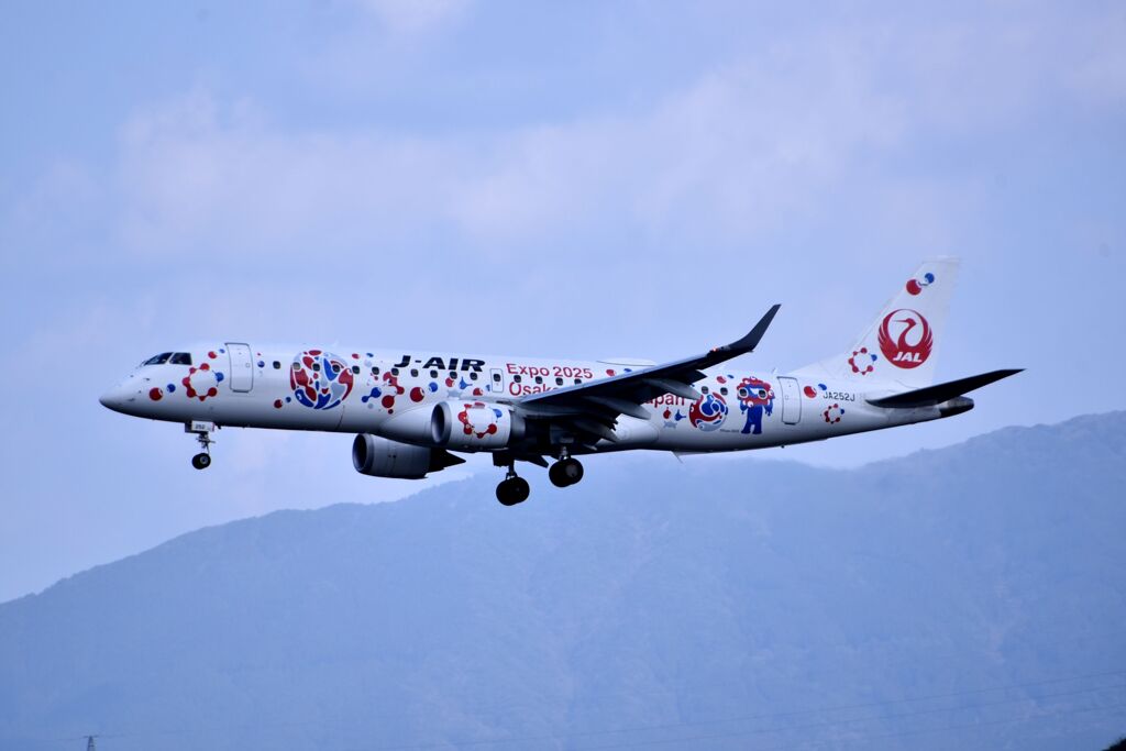 JAL 1161