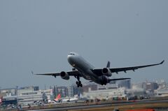 外国機１３　Cathay Pacific
