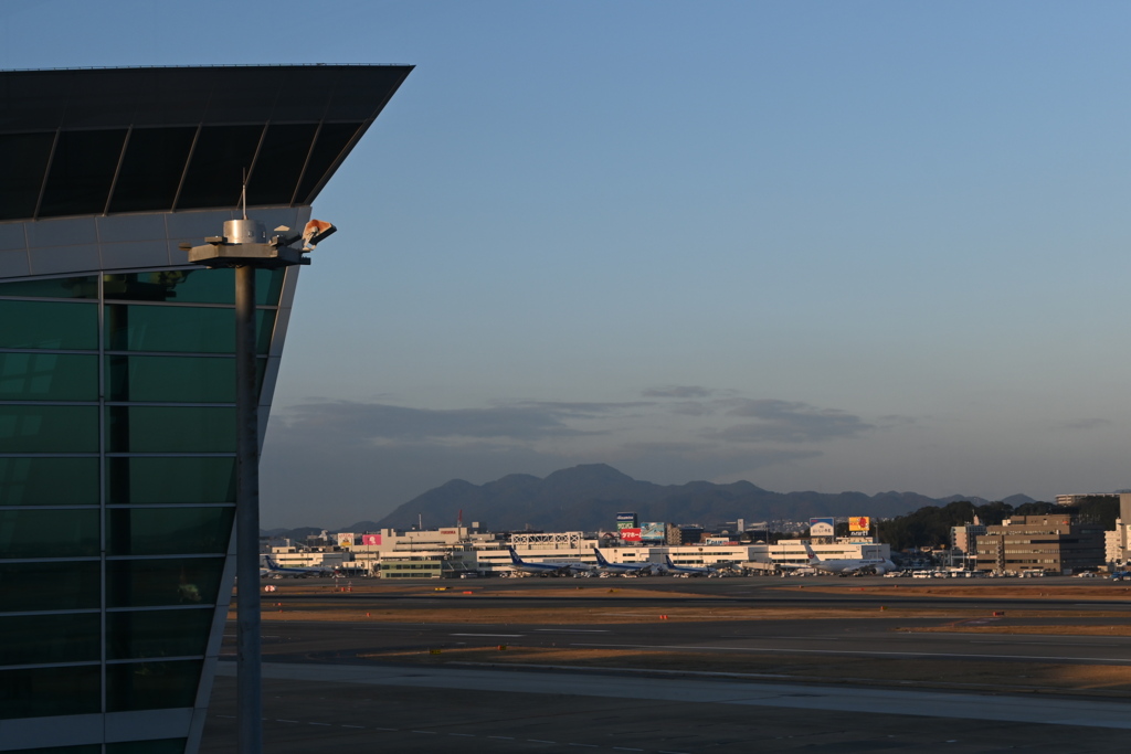 「いまもこの手が やつれた胸が」