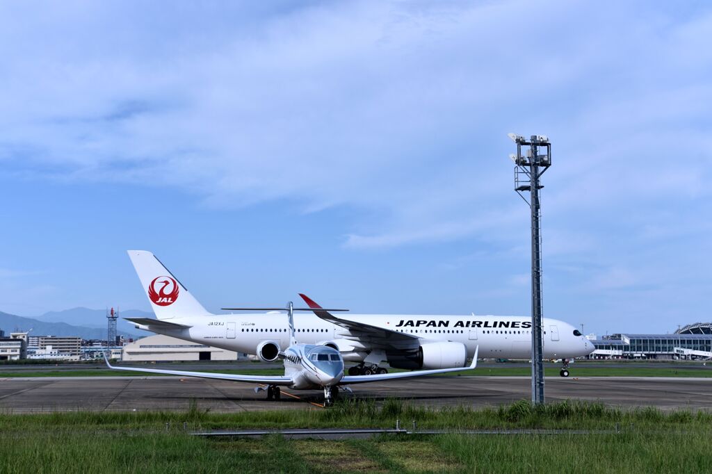 JAL 726