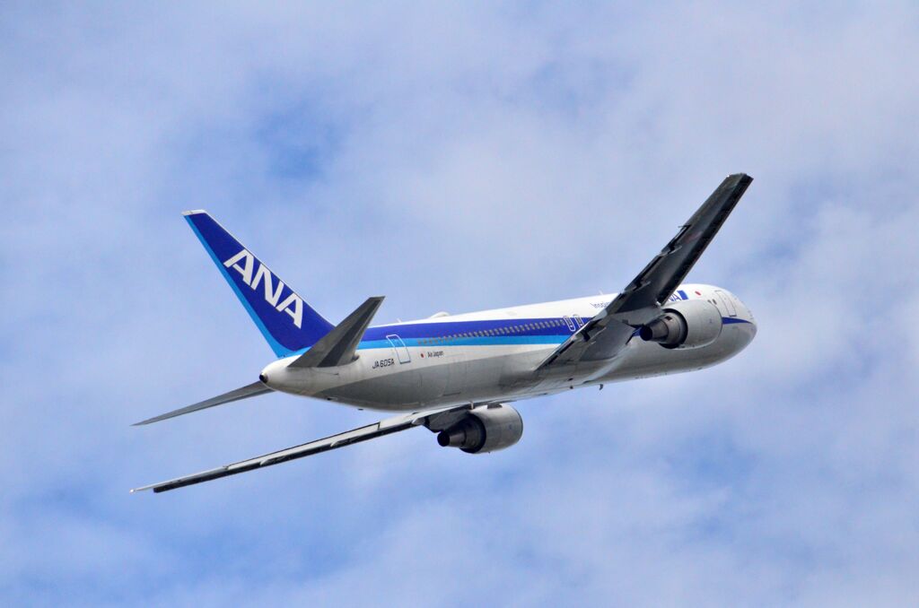 ANA 245