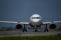 PEA 339