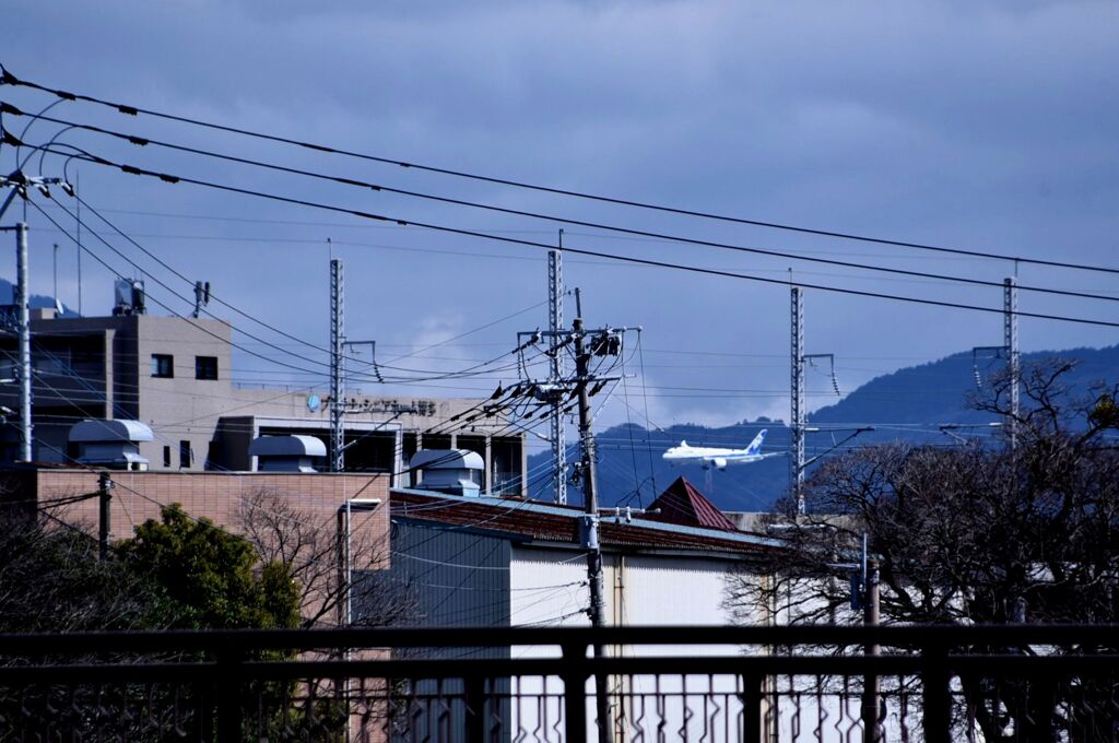 悲しき習性　その一　　macmosのパクリです。（＾＾；