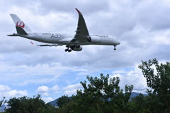 JAL 712