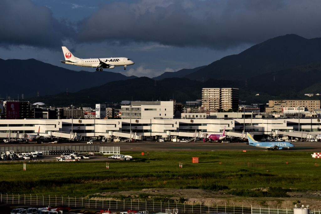 JAL 982