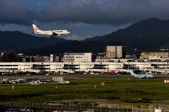 JAL 982