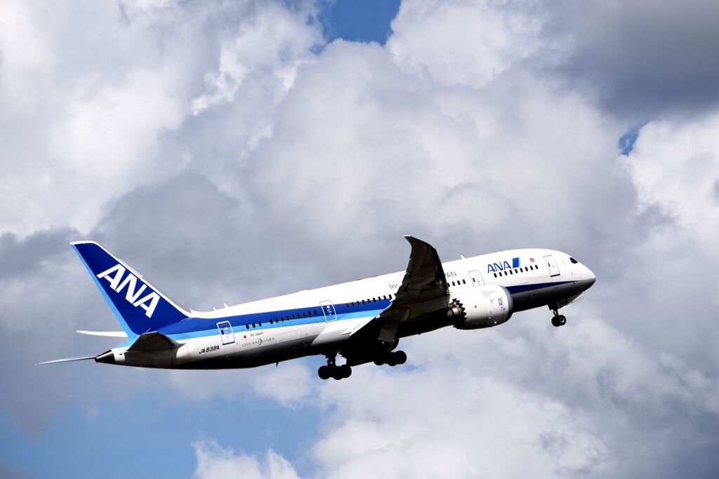 ANA 989