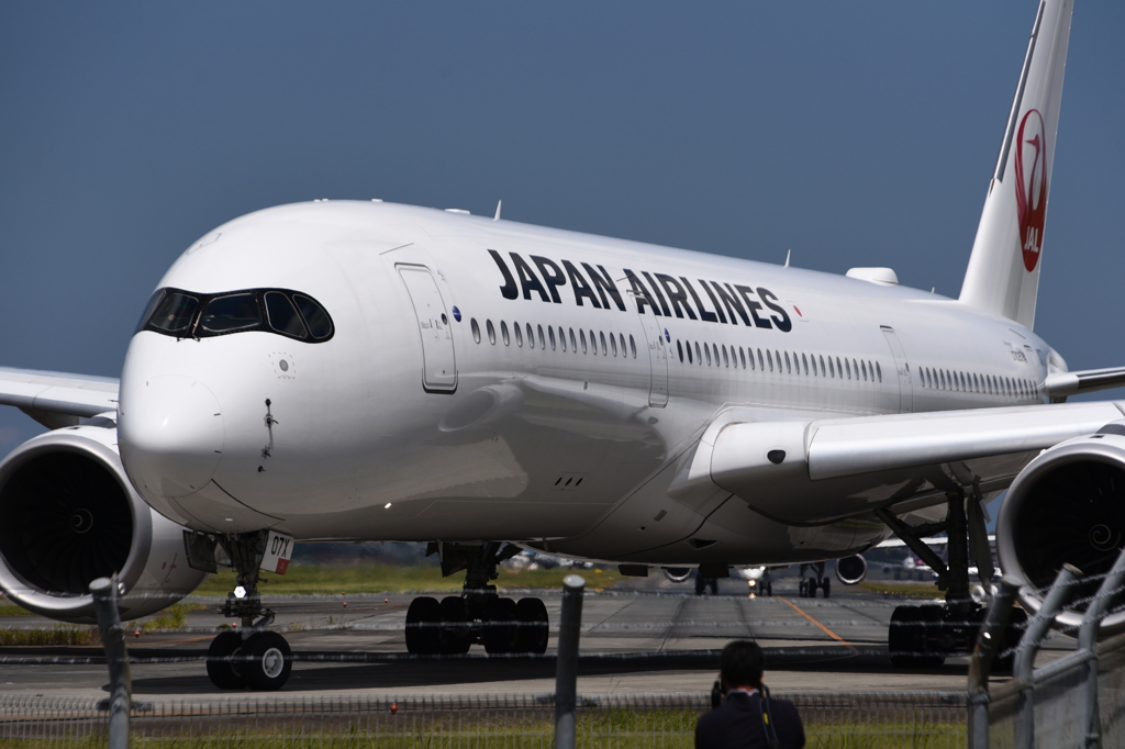 JAL 1317
