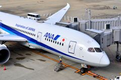 ANA 432