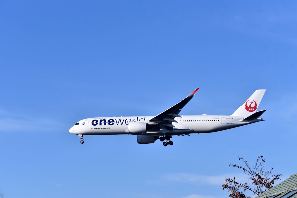 JAL 1068