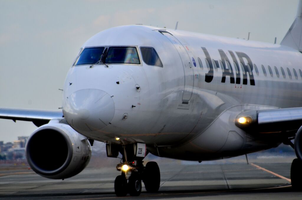JAL 495
