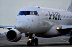 JAL 495