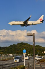JAL 339