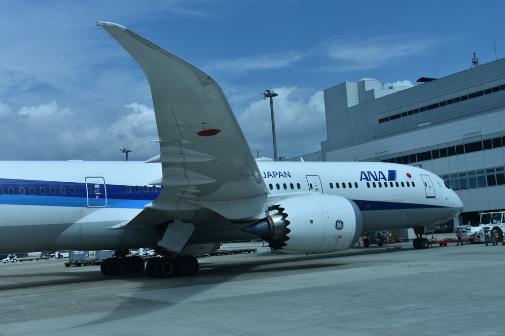 ANA 773