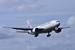 JAL 566