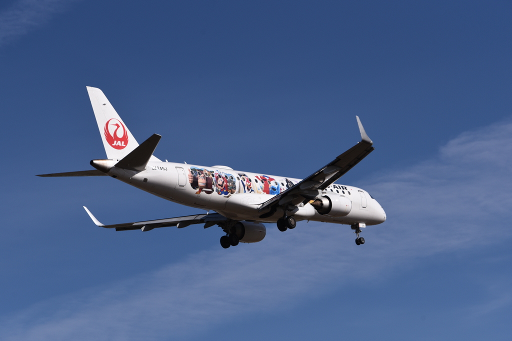 JAL 1306