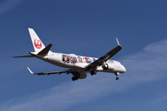 JAL 1306
