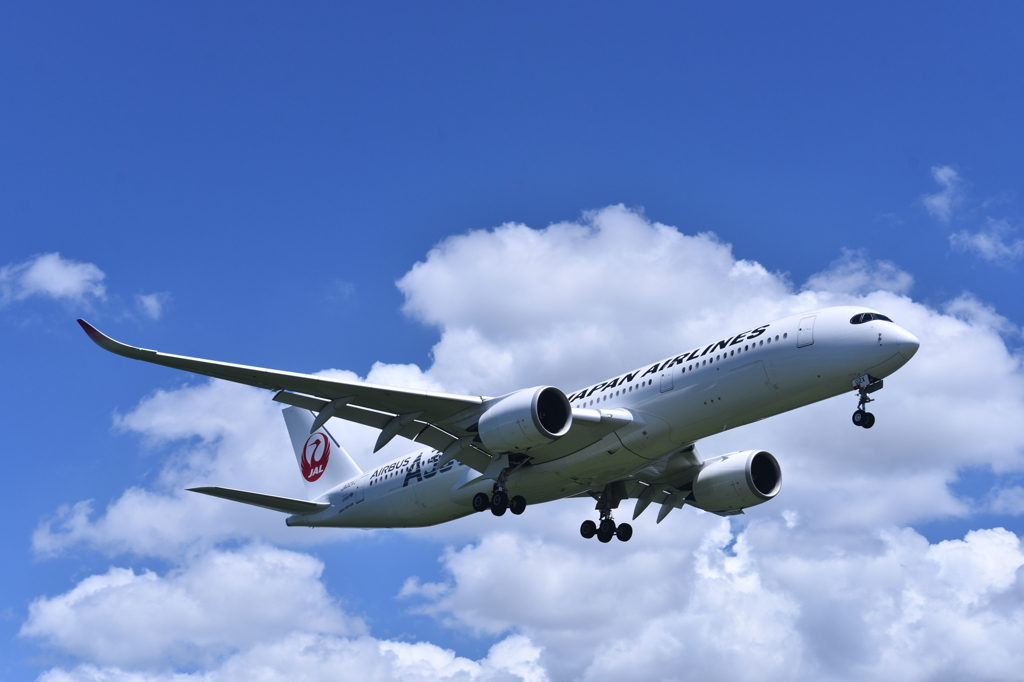 JAL 1020