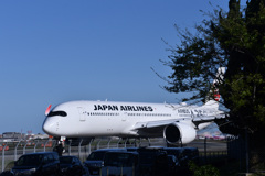 JAL 1324