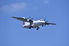 JAL 563